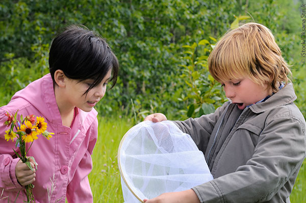 Children catching crickets