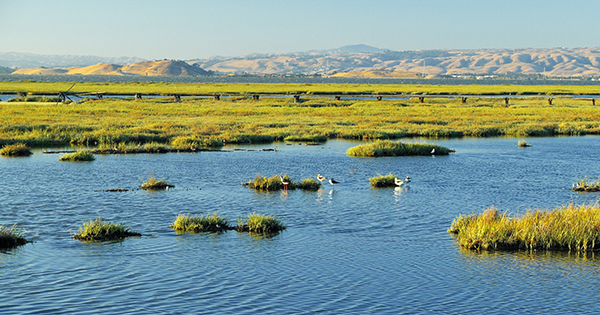 photo of the bay marsh and hills