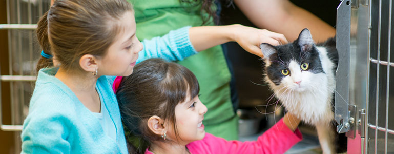 girls with cat