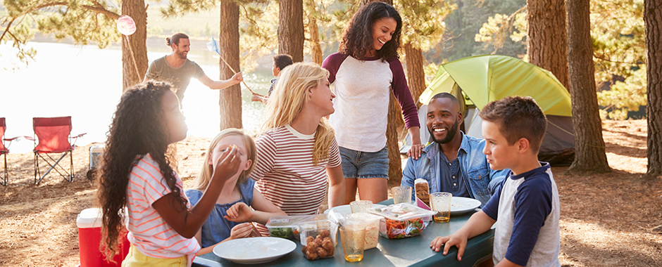 Family having a picnic